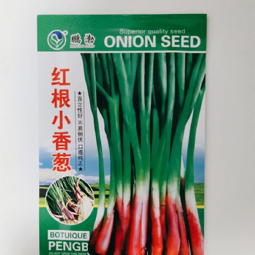 红根小葱种子四季可种植香葱种籽适宜阳台庭院易种植原装蔬菜种籽
