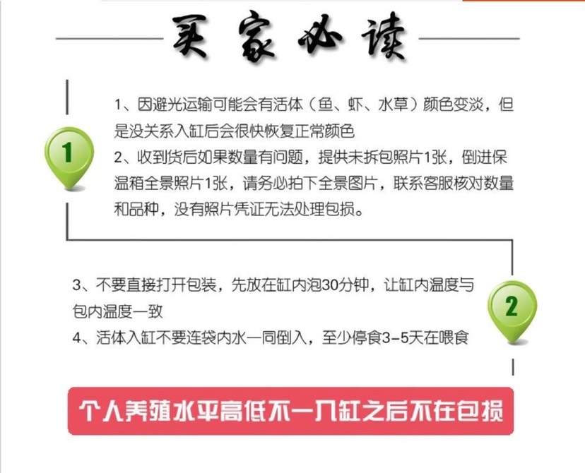 笋壳鱼苗 泰国笋壳鱼苗 沙塘鳢鱼苗 云斑尖塘鳢鱼苗