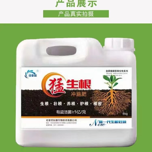 行唐县猛生跟