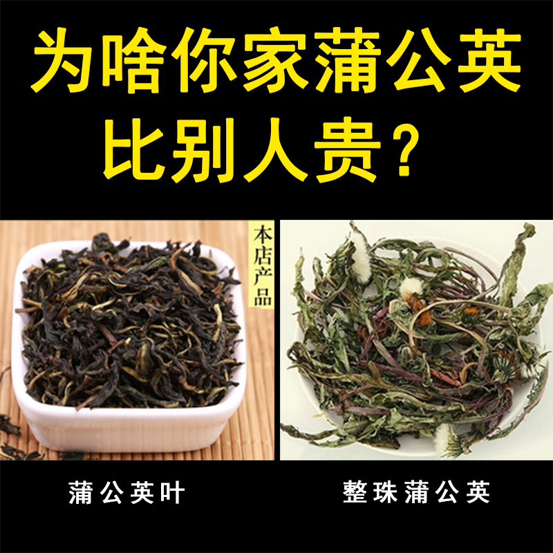 蒲公英茶叶500g散装1斤干蒲公英叶茶婆婆丁花茶