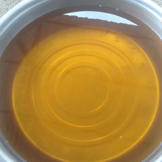 百色高山老茶树山茶油