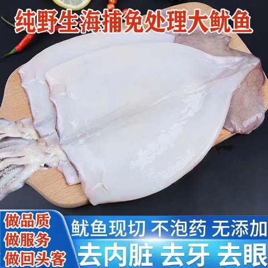 连云港新鲜鱿鱼片大鱿鱼去头去皮去内脏无冰八爪鱼章鱼烧烤火锅食材批发