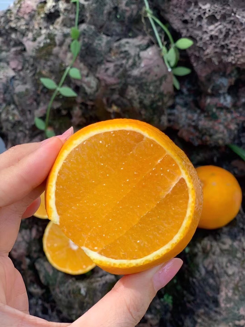 爱媛果冻橙，皮薄多汁