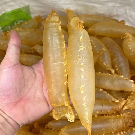 汕头17头本港带刺花赤嘴筒 花胶 颜色通透 刺花清水没有油