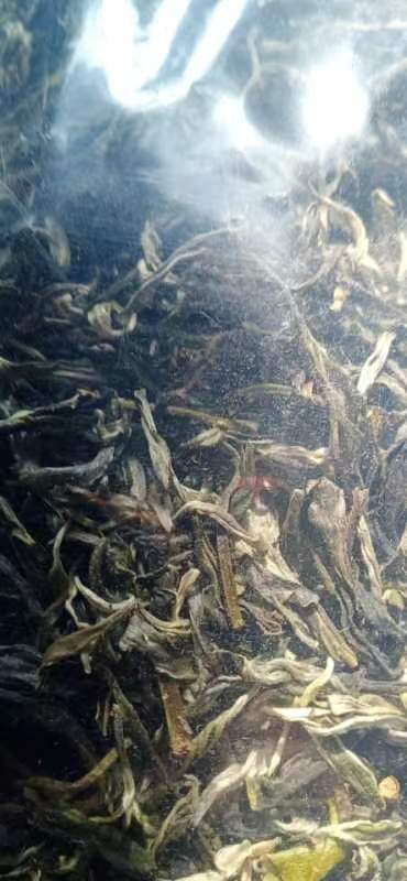 仁化县绿茶