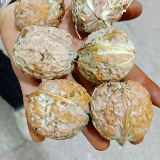 景东县2025年新鲜核桃子 刚去青皮的核桃湿子 鲜核桃 子 发货中