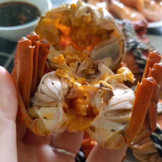 高邮市红膏大闸蟹
