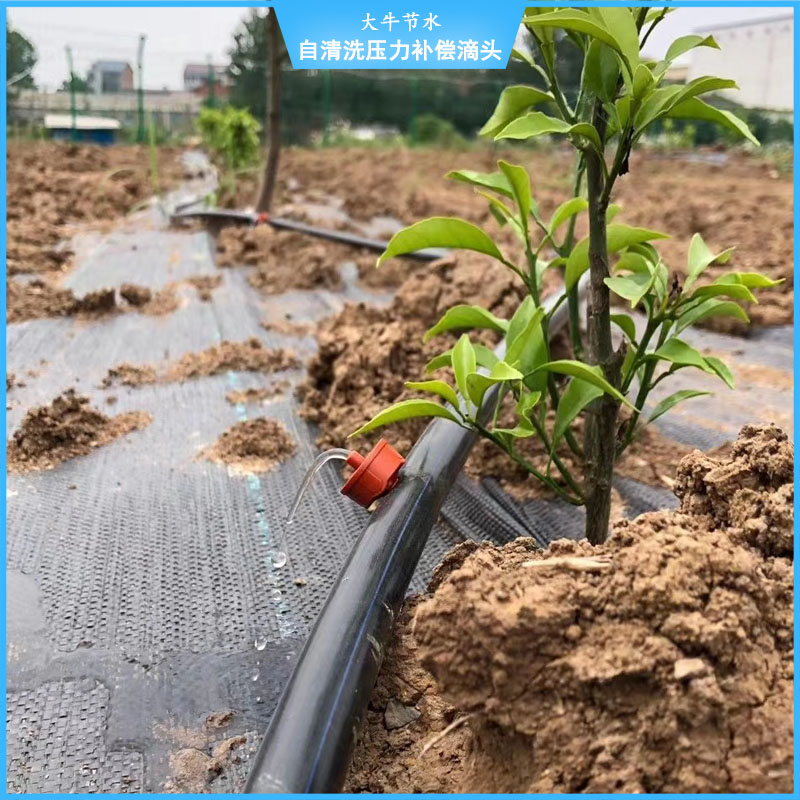 石家庄压力补偿式滴头/抗堵塞滴灌头/果园灌溉/4升8升滴头/山地