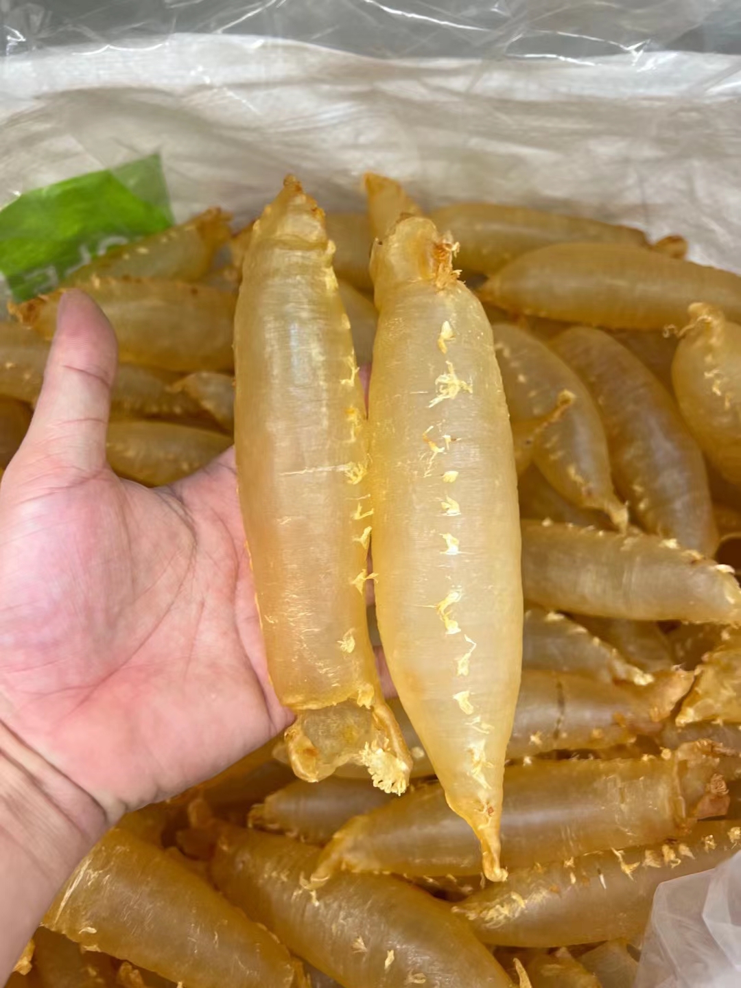 17头本港带刺花赤嘴筒 花胶 颜色通透 刺花清水没有油