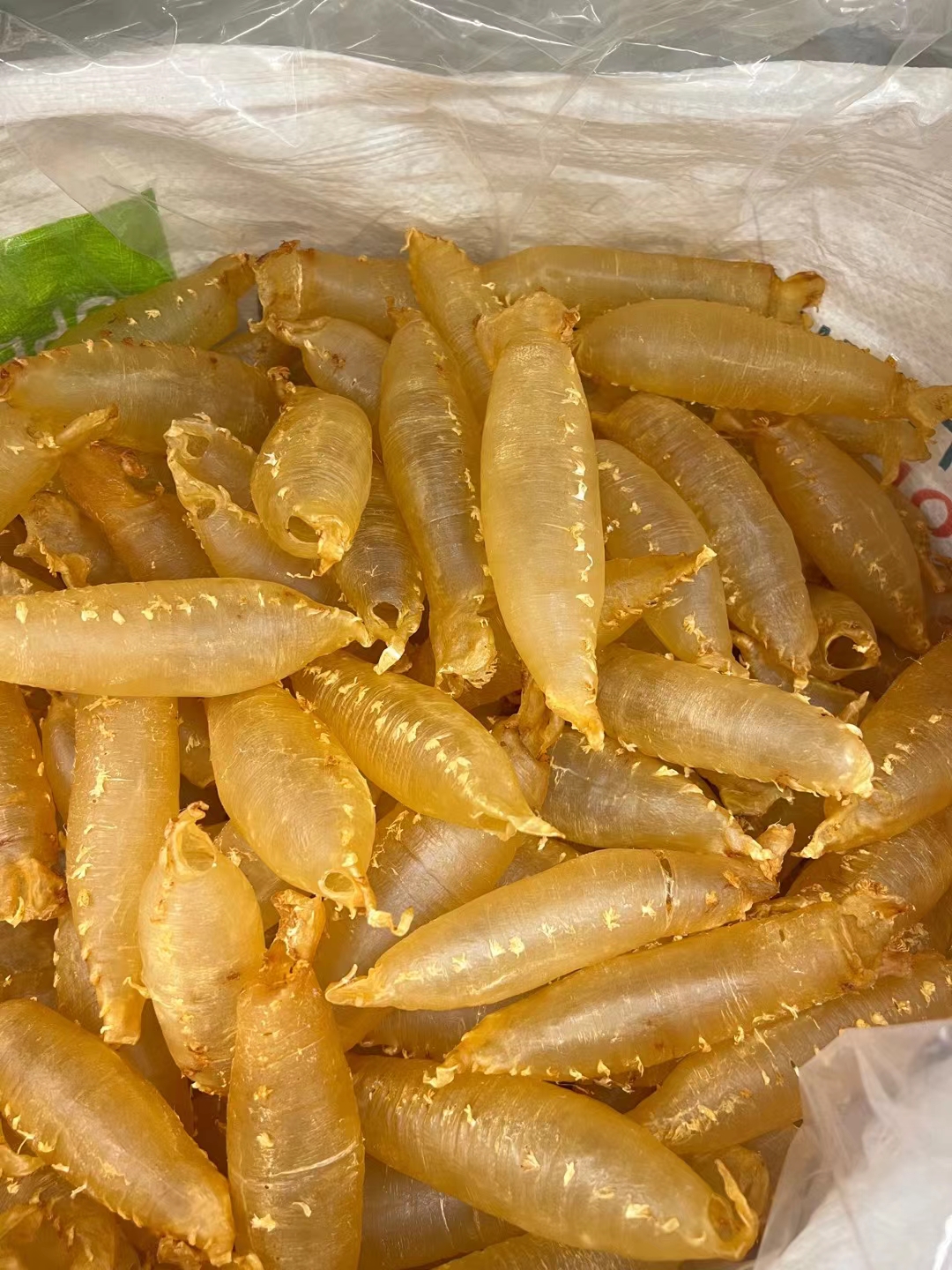 17头本港带刺花赤嘴筒 花胶 颜色通透 刺花清水没有油