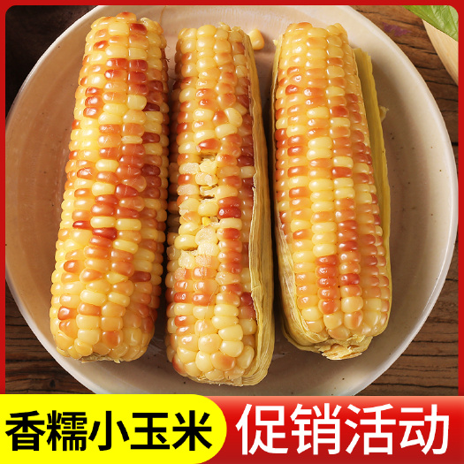 景洪市云南西双版纳香糯玉米新鲜即食真空粗粮代餐黏甜玉米非东北玉米棒