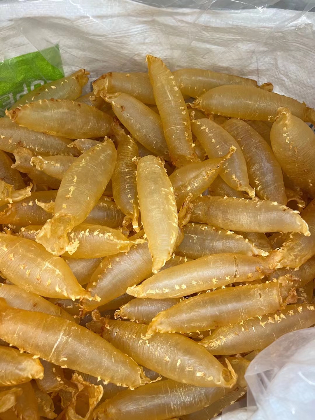 17头本港带刺花赤嘴筒 花胶 颜色通透 刺花清水没有油