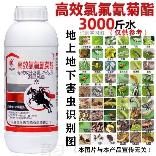 潍坊高效氯氟氰菊酯菜青虫蚜虫地下害虫蔬菜果树土壤农药杀虫药杀虫剂