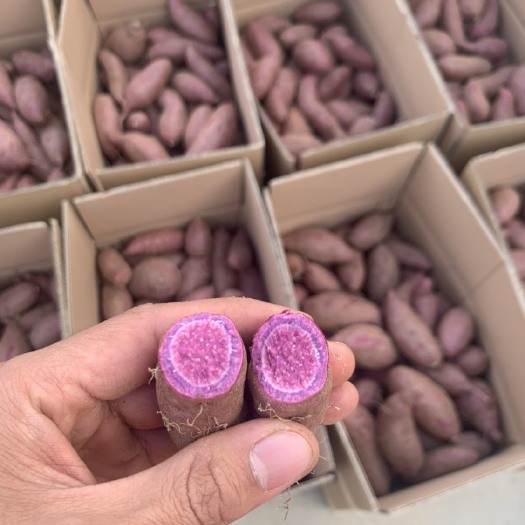 邹城市【优质】红薯 紫薯 精品紫罗兰 箱装精品3-8两地瓜