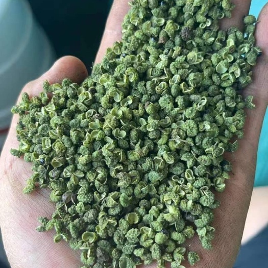 中牟县云南金阳青麻椒，麻豆高，香味足，值得选