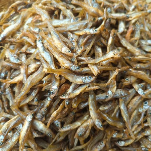 沭阳县公鱼干