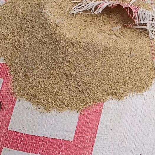 义乌市虫沙