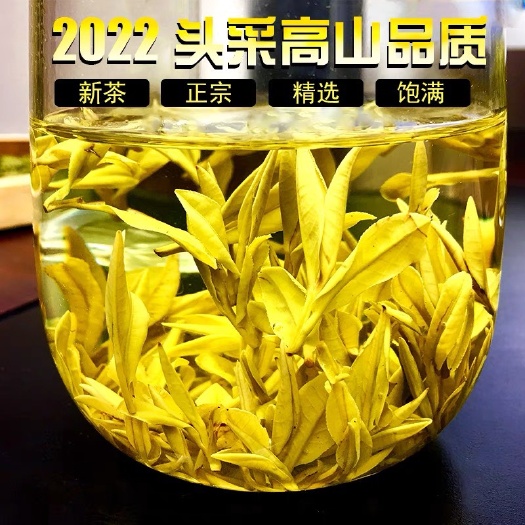 庆元县安吉白茶黄金芽2022新茶礼盒装浓香型耐泡黄金茶叶