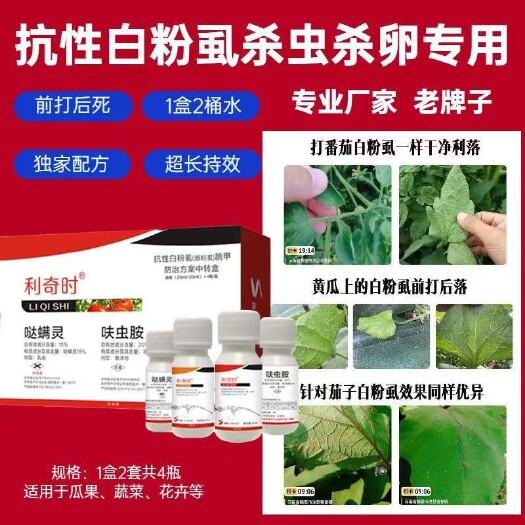 商丘白粉虱药 白粉虱飞虱药跳甲药利奇时抗性白粉虱(烟粉虱)跳甲