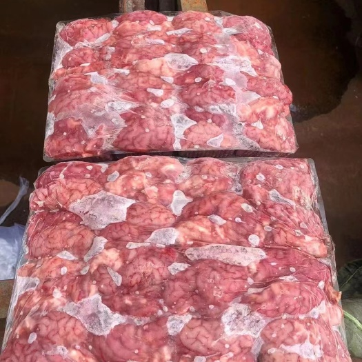 海城市羊脑 羊对脑，可做肚包脑，做火锅食材，厂家直销，品质保证