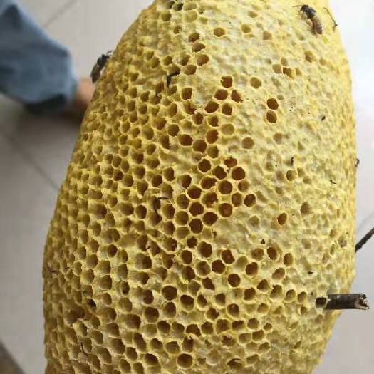 崇左小挂蜜
