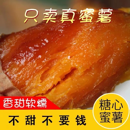 河北唐山迁西烟薯25烤蜜薯地瓜 流糖蜜薯 软糯香甜 一件代发