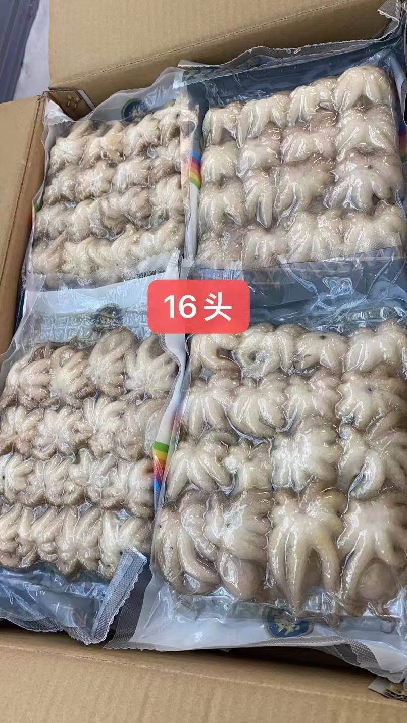 廣州章魚  八爪魚，小八爪，冷凍