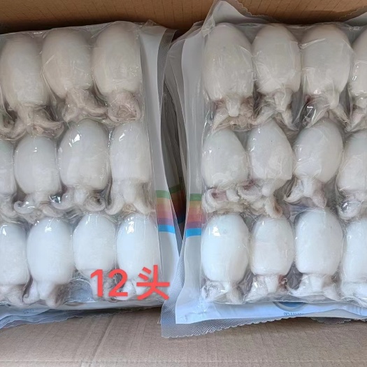 广州冷冻，精选墨鱼仔