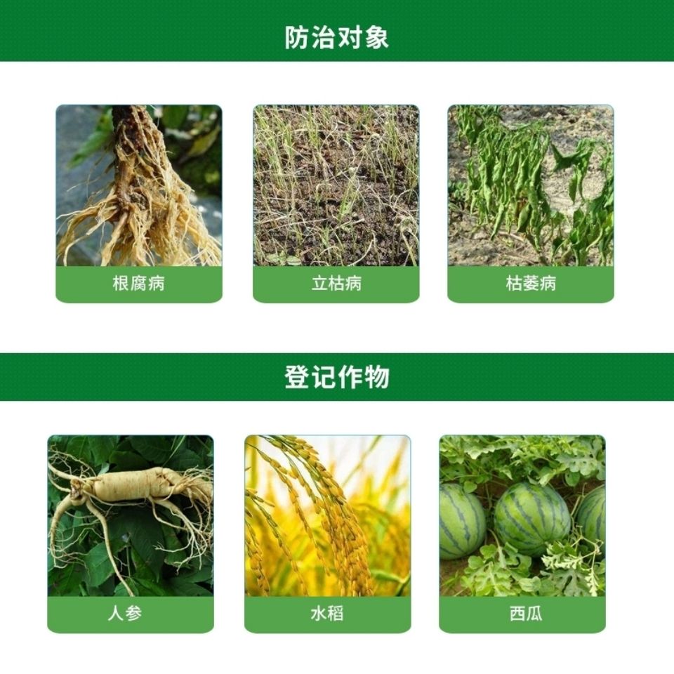 京博山推007 70%恶霉灵人参根腐病水稻立枯病枯萎病杀菌剂