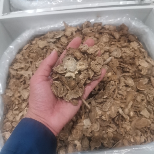 亳州木香新货正品川木香云木香足干广木香木香片调味料批发无硫