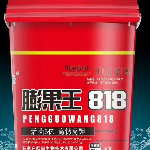 膨果王818