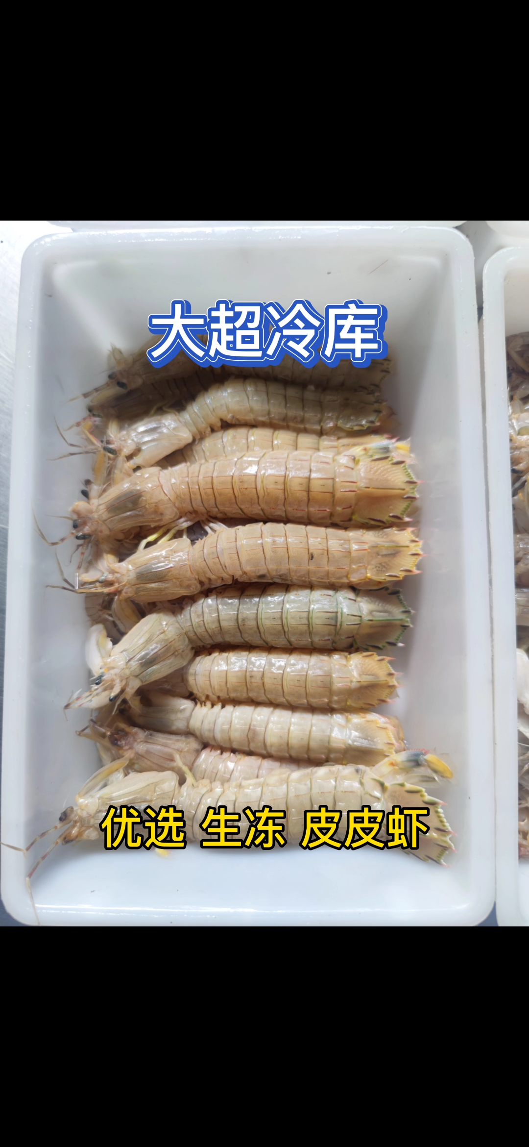 优选 生冻皮皮虾 可定做