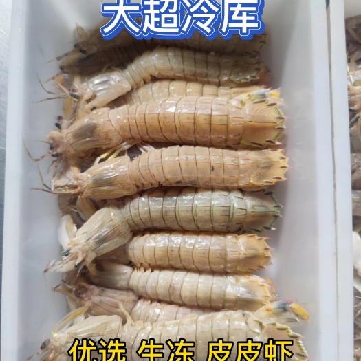 优选 生冻皮皮虾 可定做