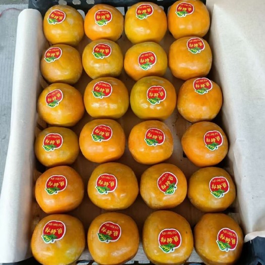 大荔县陕西渭南大荔万亩阳丰脆甜柿子大量上市了