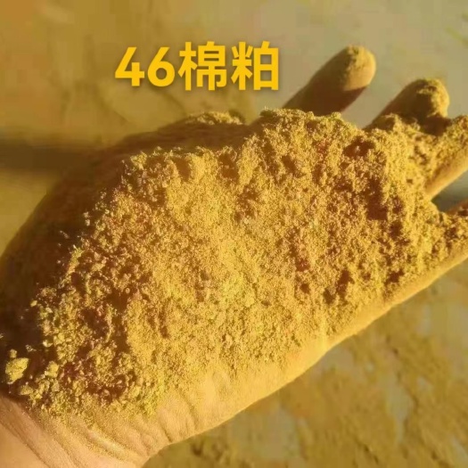 石家庄蛋白46品质好