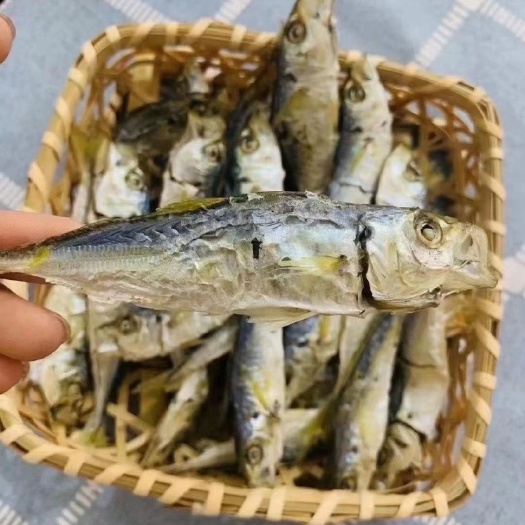 东山县黄尾巴浪鱼干