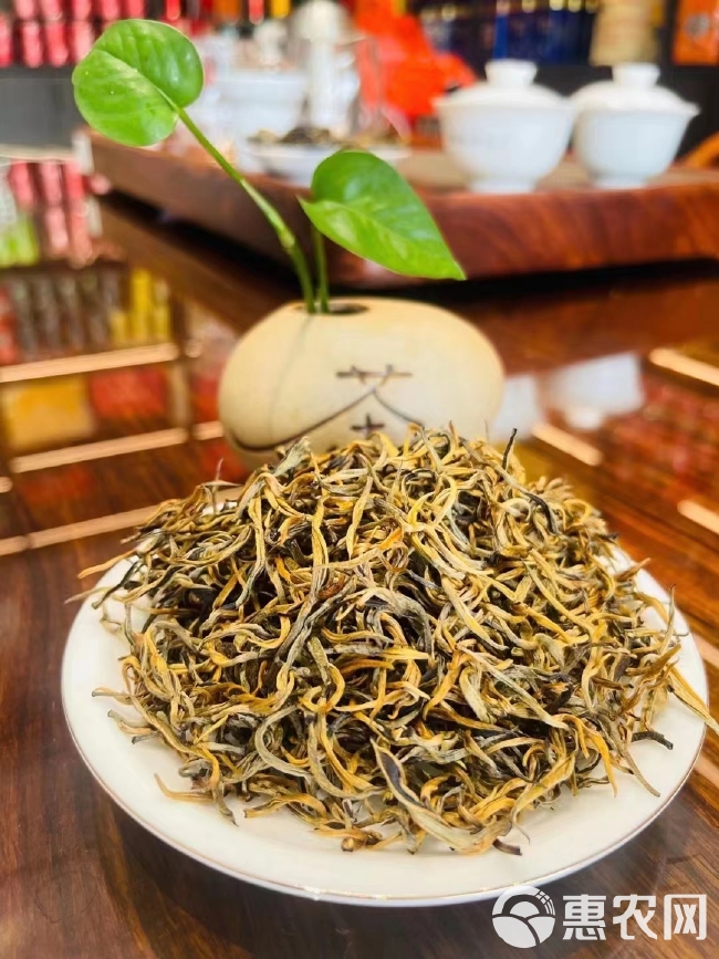 金豪特级茶