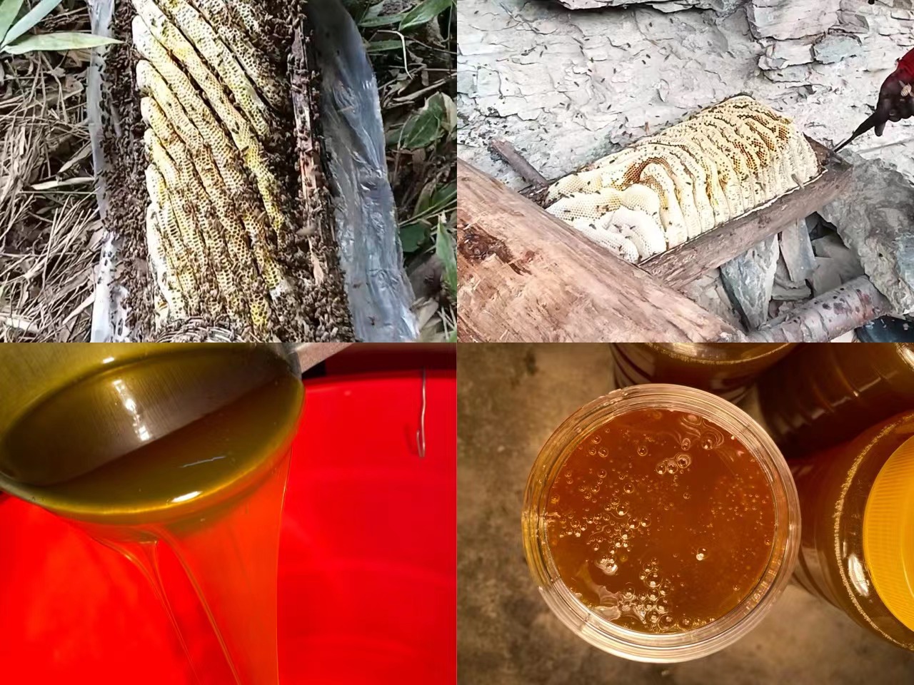 陕西汉中深山百花花蜜