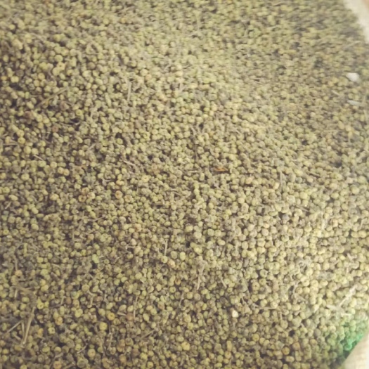 会昌县吴茱萸-中花
