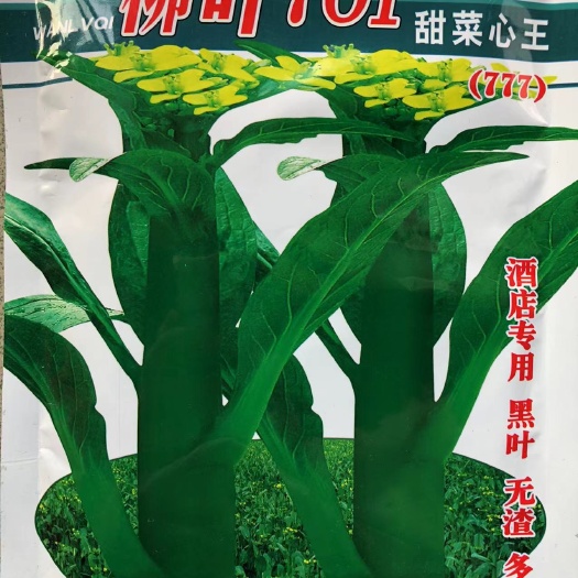 英德市广东菜心种籽秋季冬季播种迟菜心柳叶701甜菜芯种子无渣多芯