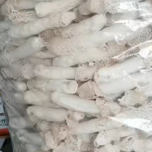惠水县食用菌，竹荪，专卖店