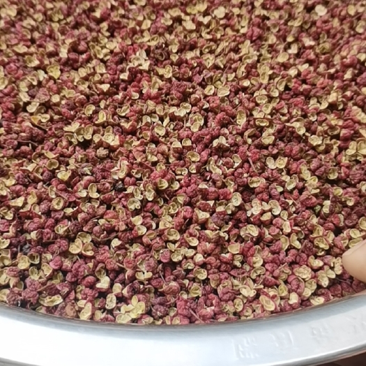 江油市茂县花椒