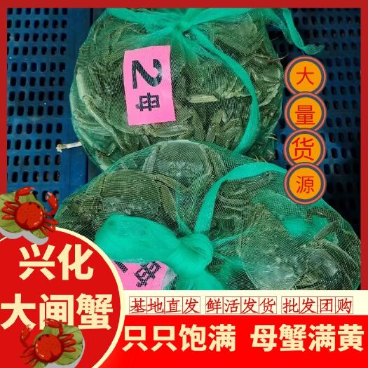 兴化市大闸蟹