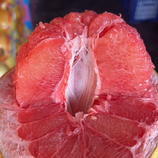 福建三红柚子