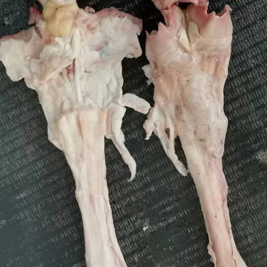 中牟县牛蹄筋，副筋