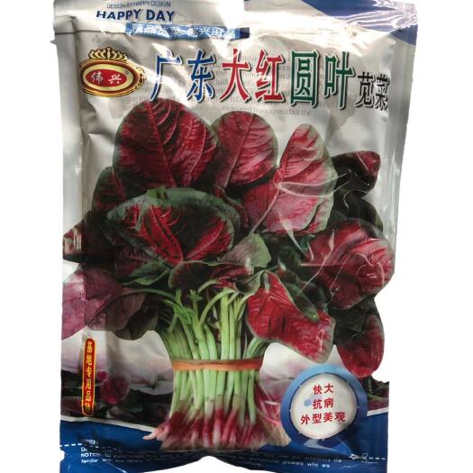 红苋菜种子 苋菜种籽广东大红圆叶苋菜范记307红苋菜阳台春夏