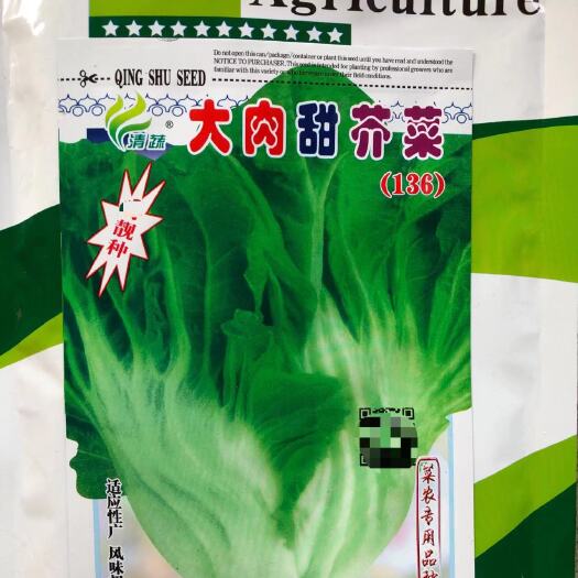 英德市广东大肉甜芥菜种子火锅菜刈菜盖菜青菜籽蔬菜种子腌制咸酸菜