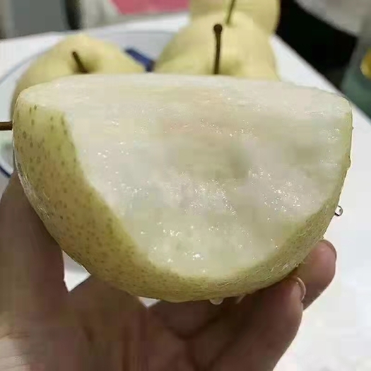 宜川县壶口酥梨