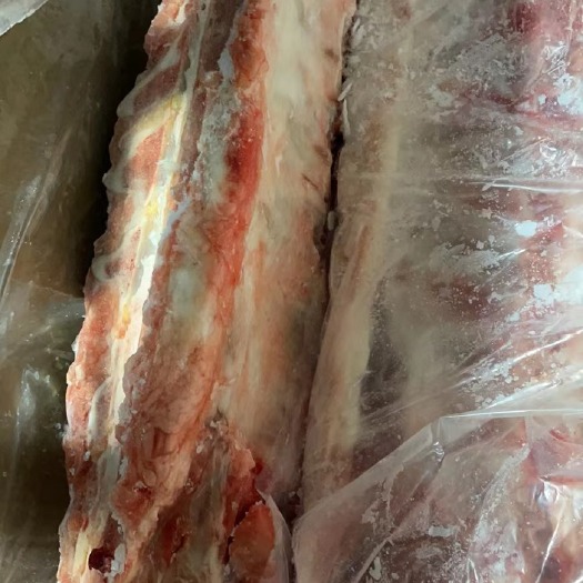 商丘母猪龙骨