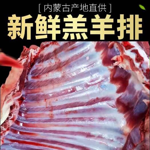 呼和浩特内蒙特产厂家直供新鲜冷冻羊排烧烤食材羊肋排法排羊排羊肉